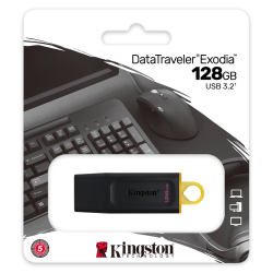 Kingston DataTraveler Exodia...